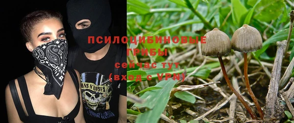 мяу мяу мука Беломорск