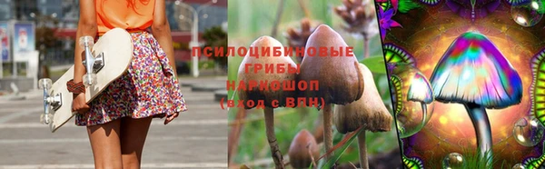 мяу мяу мука Беломорск