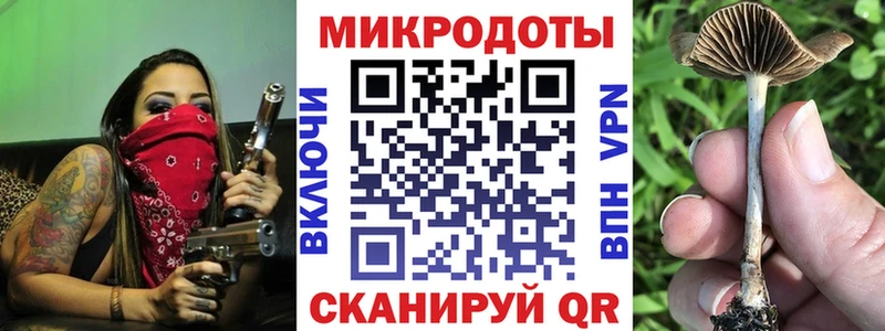 Купить закладки  Андреаполь  Галлюциногенные грибы GOLDEN TEACHER 
